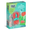 Clementoni - Kit Anatomía Squishy Organs