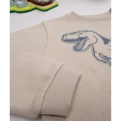 Conjunto jogging verde para niño