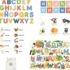 Diset - Juego Educativo Aprendo En Positivo - Leer ㅤ