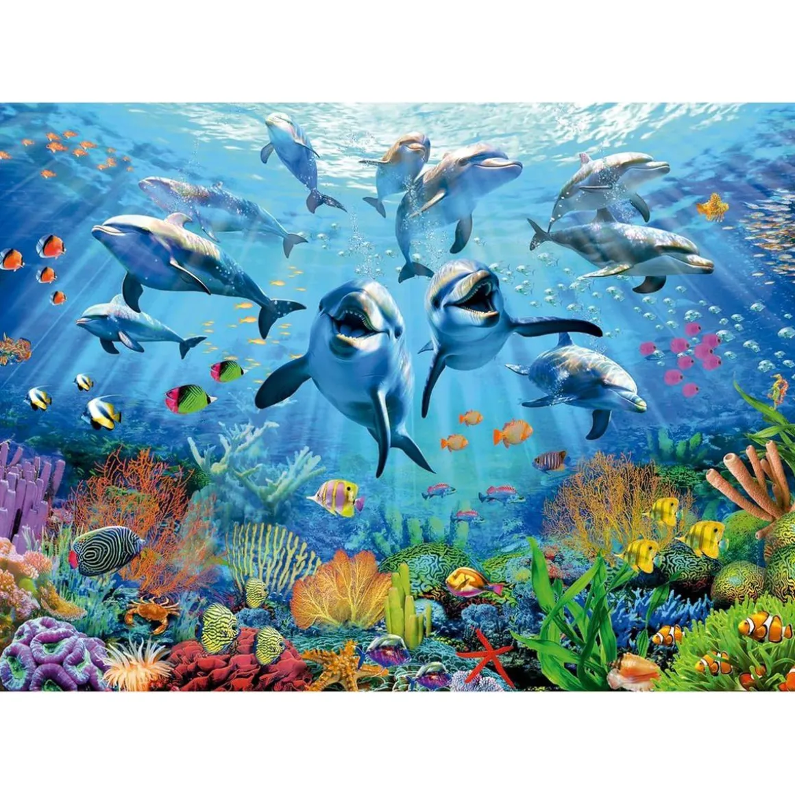 Educa Borras - Puzzle Fiesta Oceánica 500 Piezas ㅤ