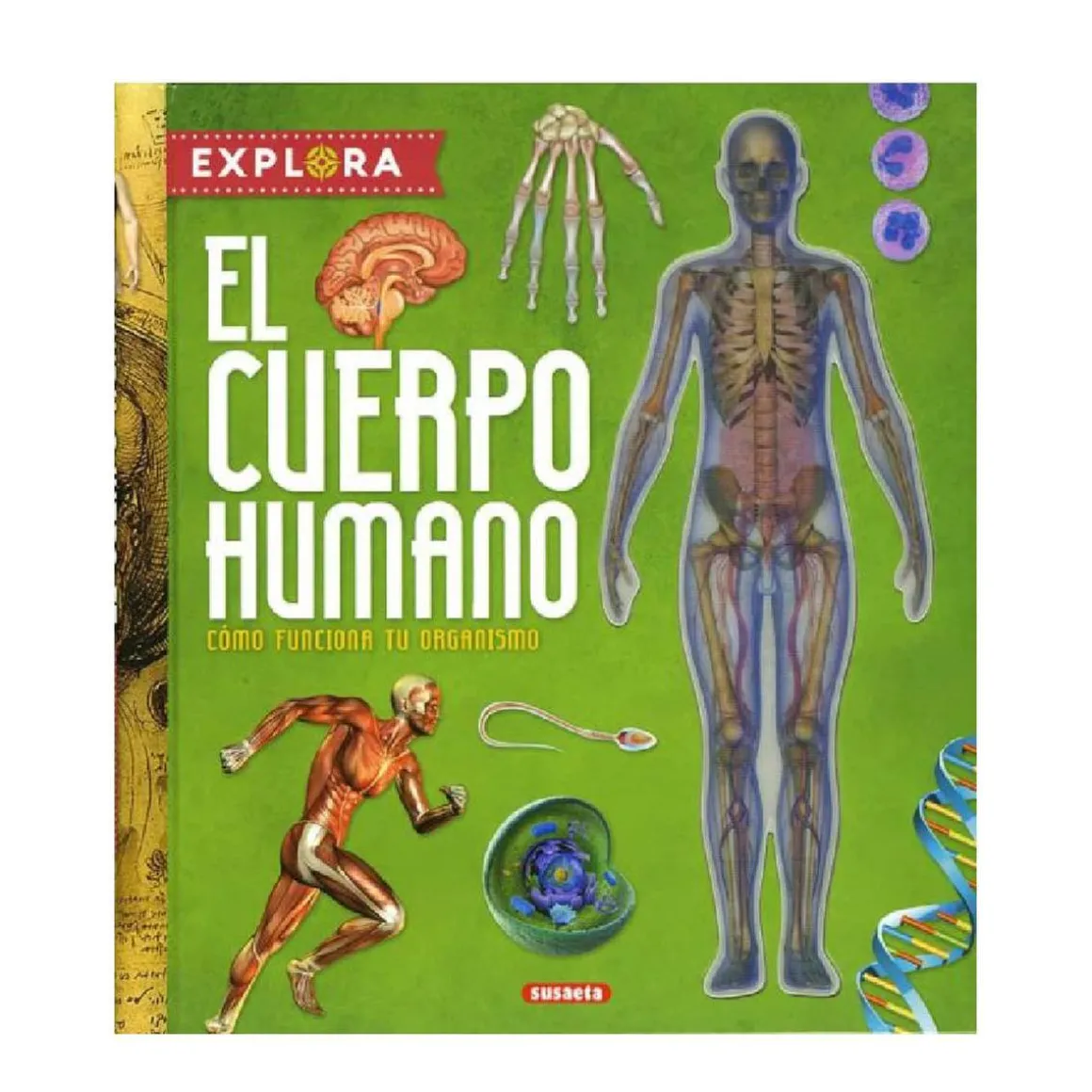 Explora el cuerpo humano