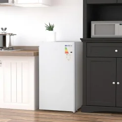 Homcom - Mini Nevera Blanca con Congelador 91L