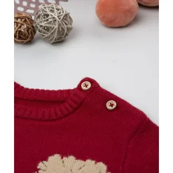 Jersey de niño rojo con bordados de animales