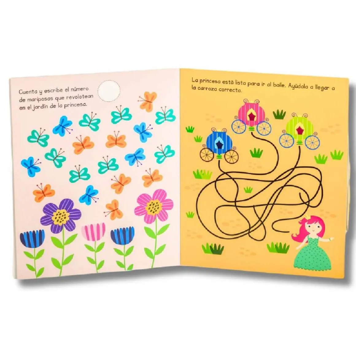 Libro con pinturas de cera (varios modelos)