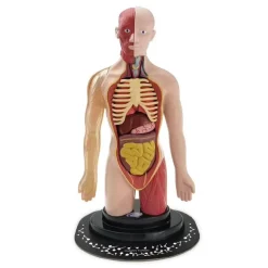 Micro Planet - Cuerpo humano