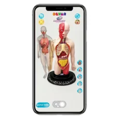 Micro Planet - Cuerpo humano