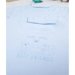 Pack 2 camiseta niña azul algodón orgánico