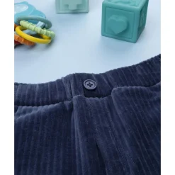 Pantalón de velour azul para niño