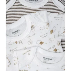 Paquete 5 body cortos unisex oro