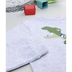Pijama niño gris dinosaurio
