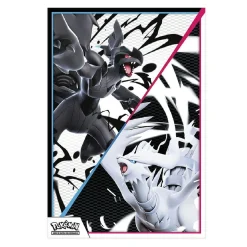 Pokémon - Caja Colección con Póster - Fulgor Negro y Llama Blanca (Español)