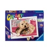 Ravensburger - Pinta un perro y un gato CreArt