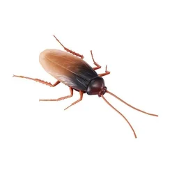 Robo Alive - Cucaracha robótica que brilla en la oscuridad
