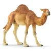 Schleich - Figura de dromedario vida salvaje ㅤ