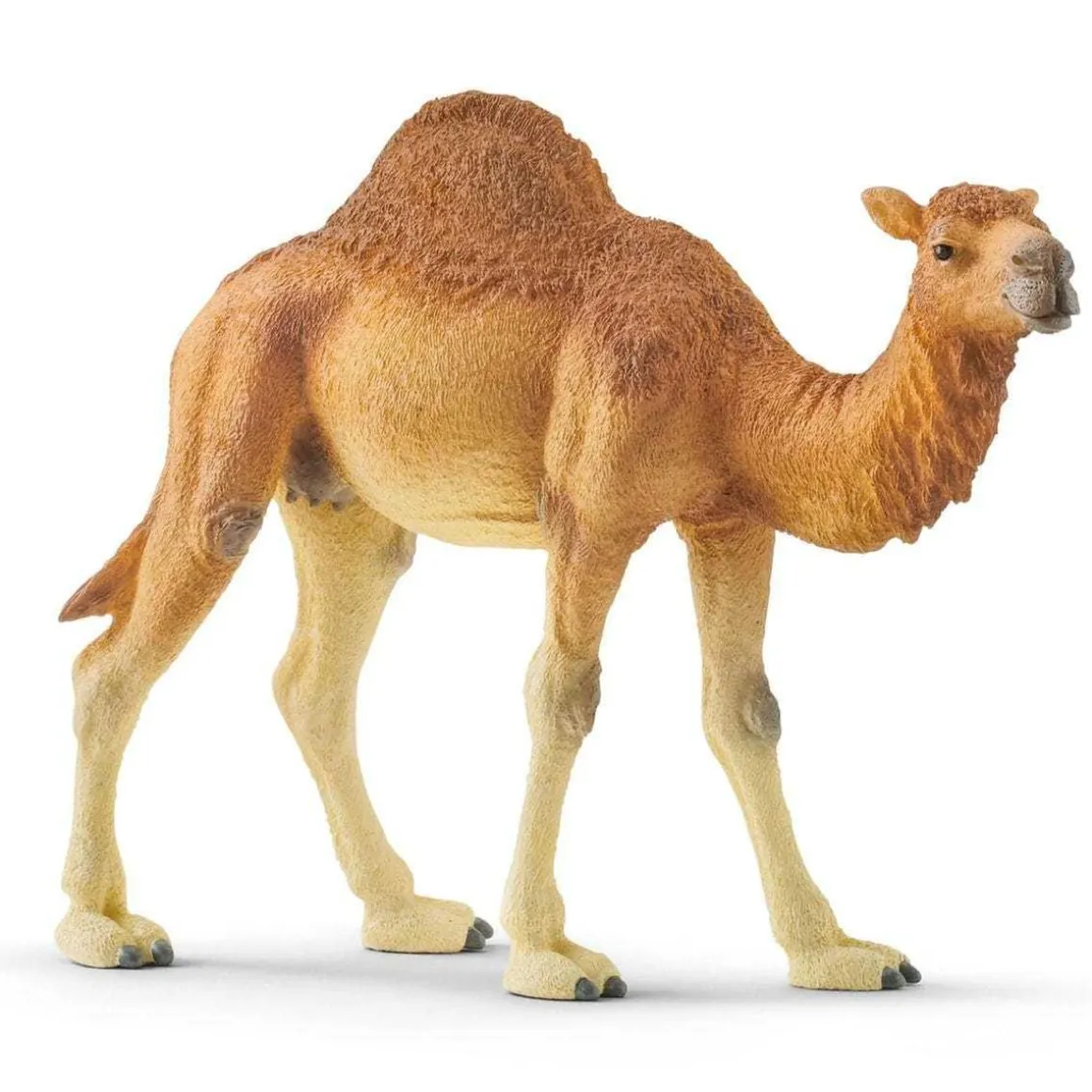 Schleich - Figura de dromedario vida salvaje ㅤ