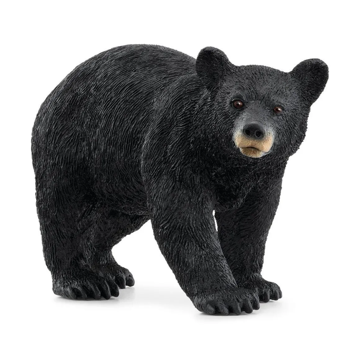 Schleich - Oso negro Vida Salvaje ㅤ