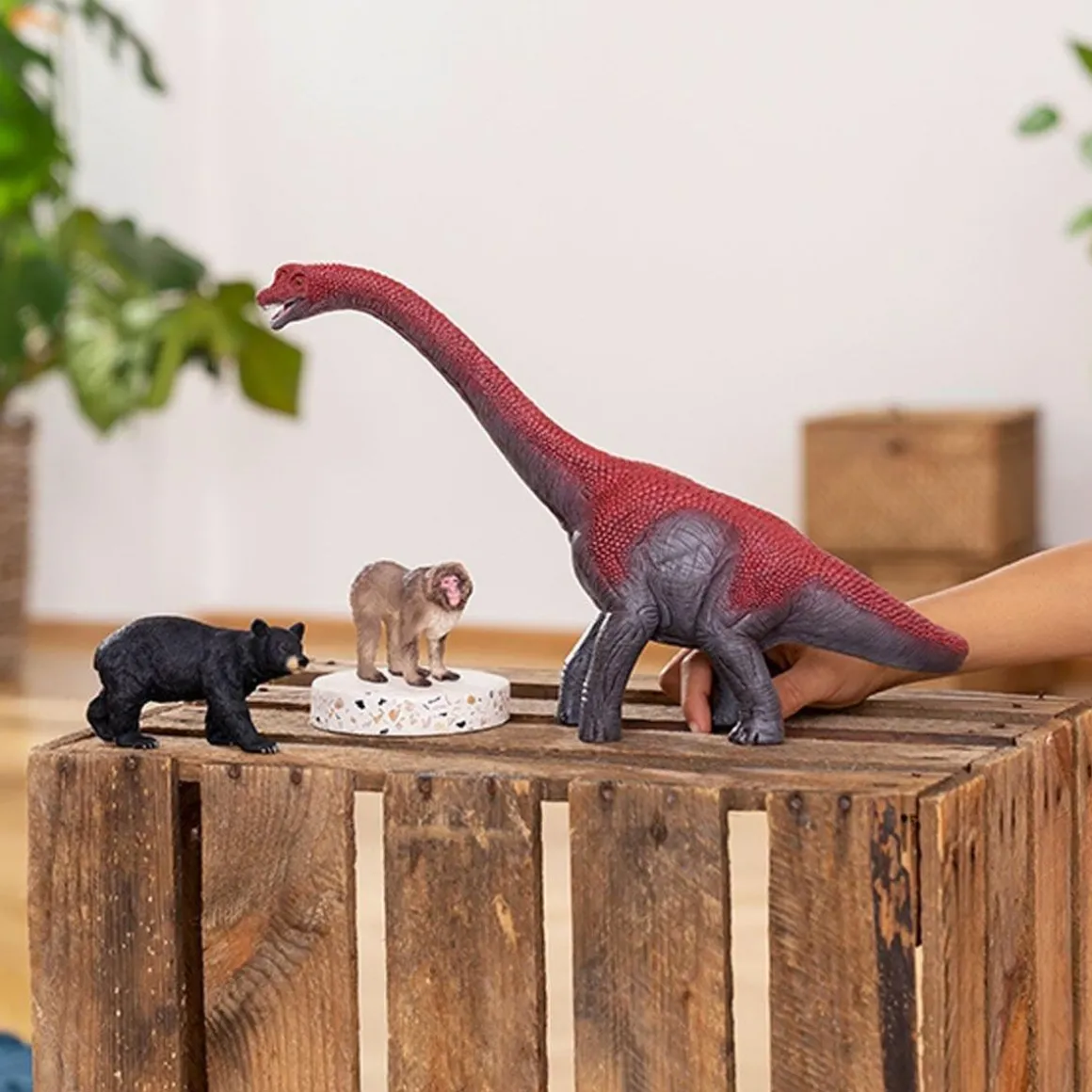Schleich - Oso negro Vida Salvaje ㅤ