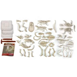 Set de Excavación Dinosaurios 5 en 1