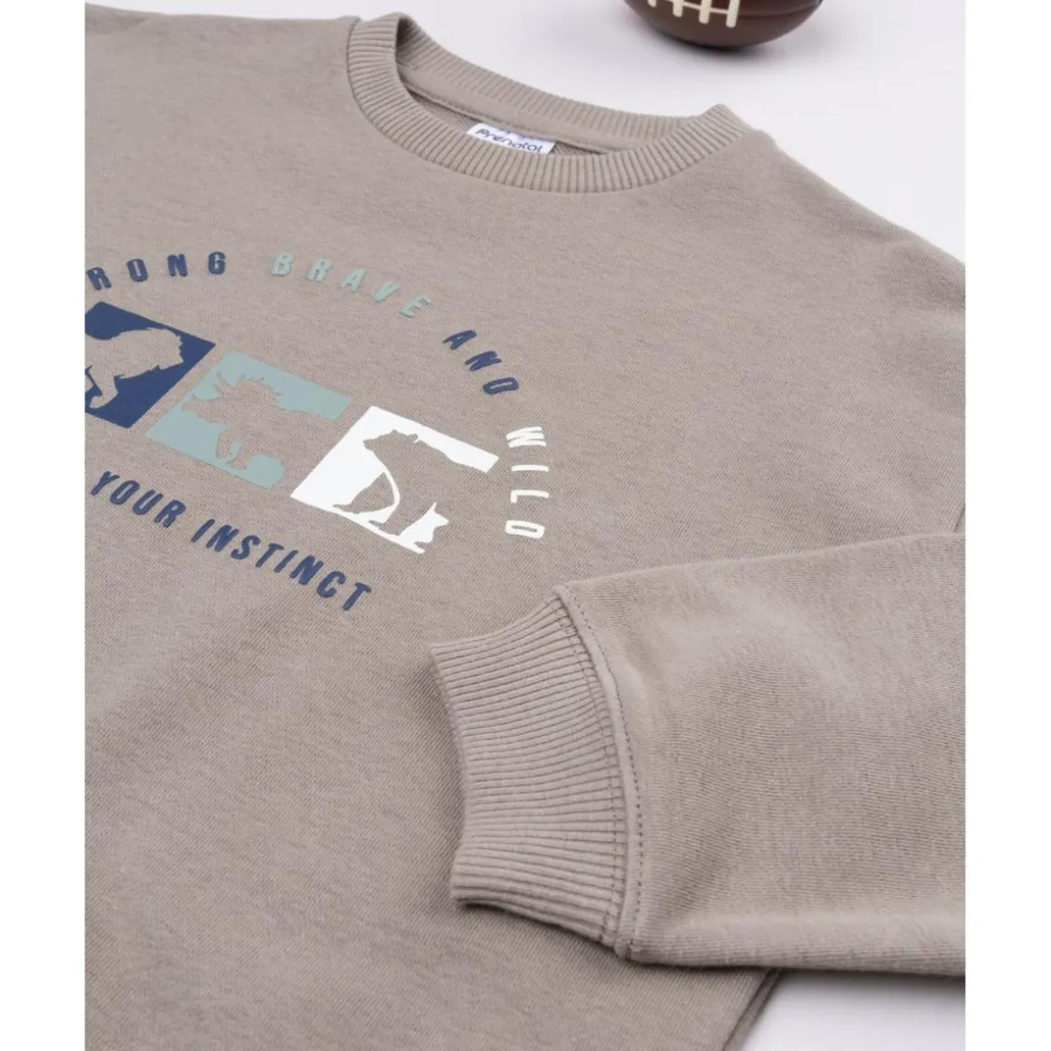 Sudadera niño marrón dinosaurios